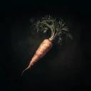 Crisp Carrot
