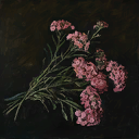 Yarrow