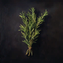 Rosemary