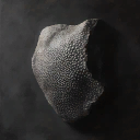 Shagreen