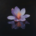 Saffron Flower