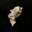 Torn Damask